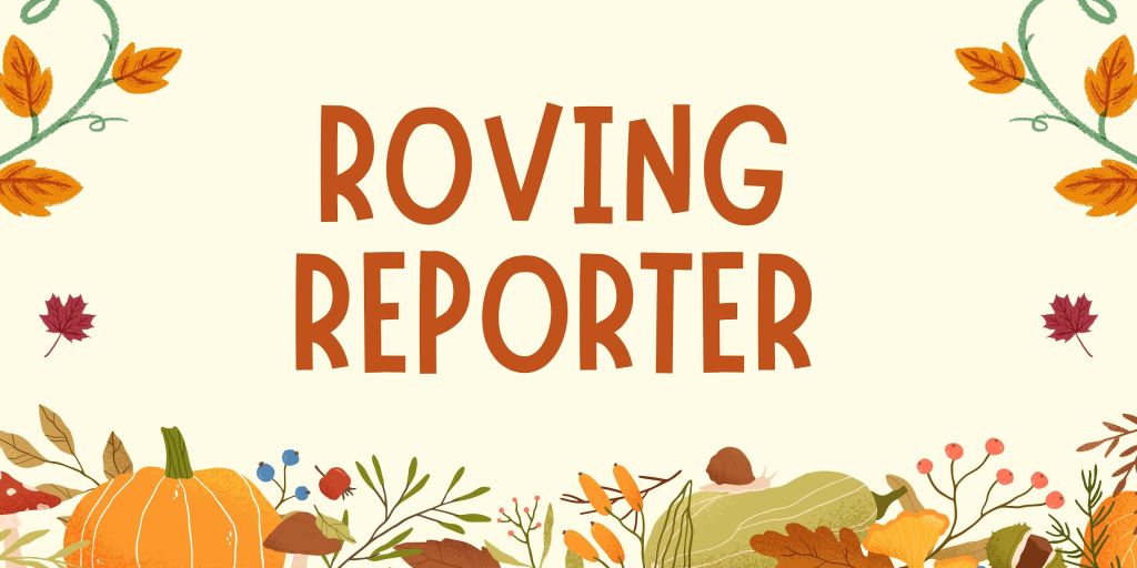 Roving Reporter: DWTS